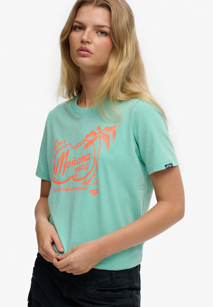 Superdry Graphic Print T-Shirt, Mint Green